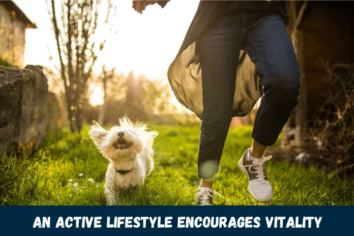 An Active Lifestyle Encourages Vitality