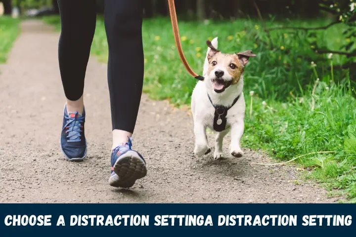 Choose a Distraction Setting