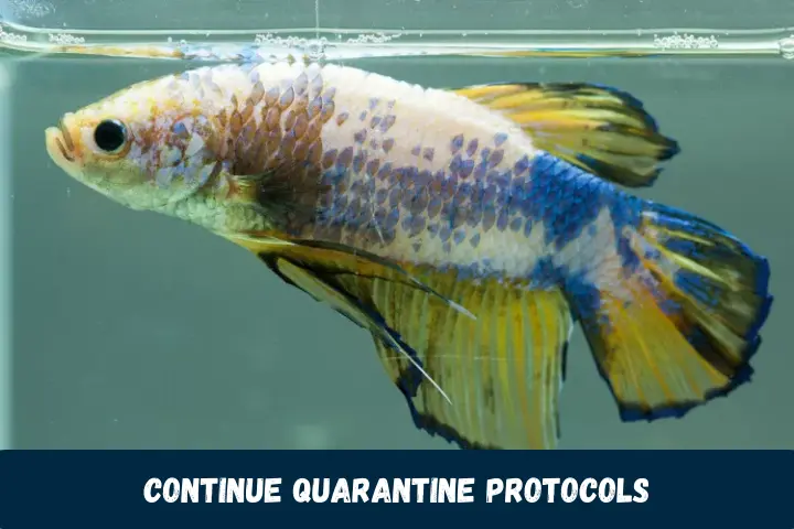 Continue Quarantine Protocols  