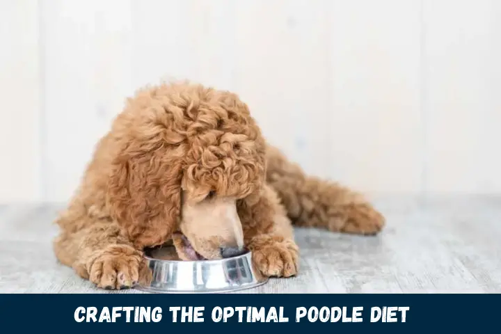 Crafting the Optimal Poodle Diet
