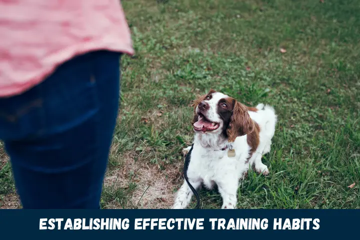 Establishing Effective Training Habits