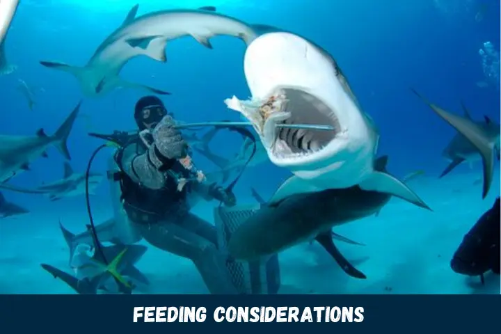 Feeding Considerations