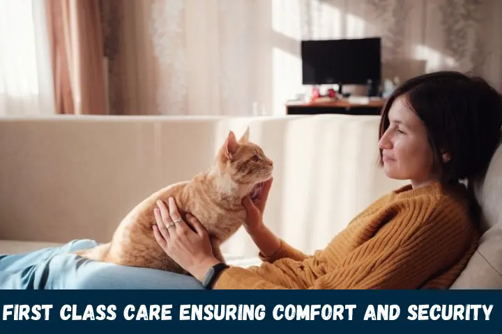 First Class Care: Ensuring Comfort and Security