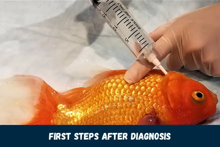 First Steps After Diagnosis