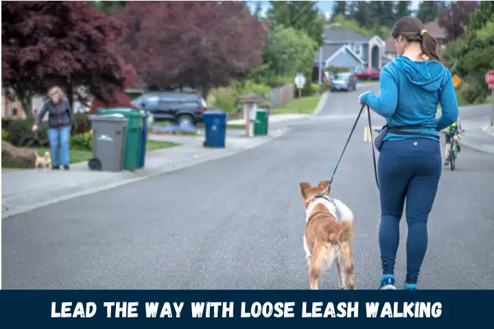 Lead the Way with Loose Leash Walking