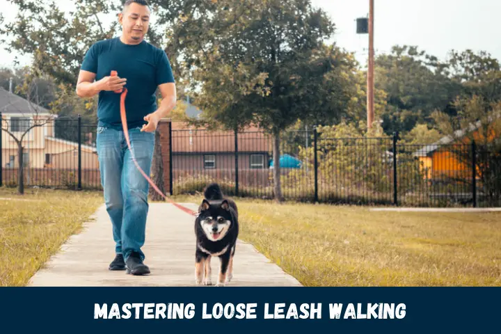 Mastering Loose Leash Walking