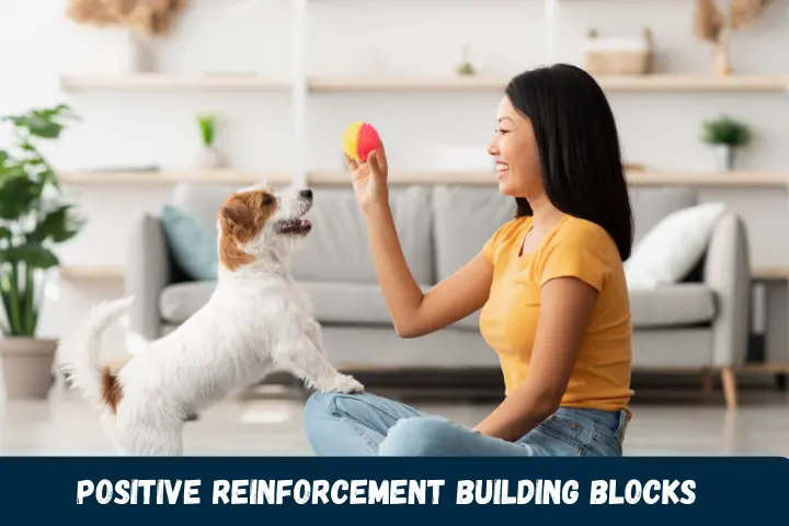 Positive Reinforcement Building Blocks