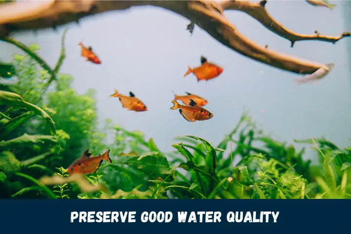 Preserve Good Water Quality