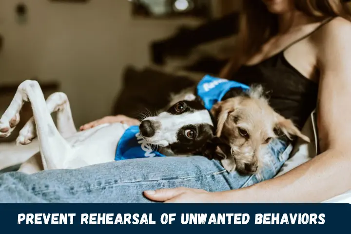 Prevent Rehearsal of Unwanted Behaviors
