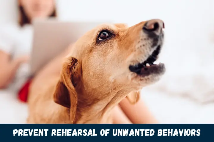 Prevent Rehearsal of Unwanted Behaviors