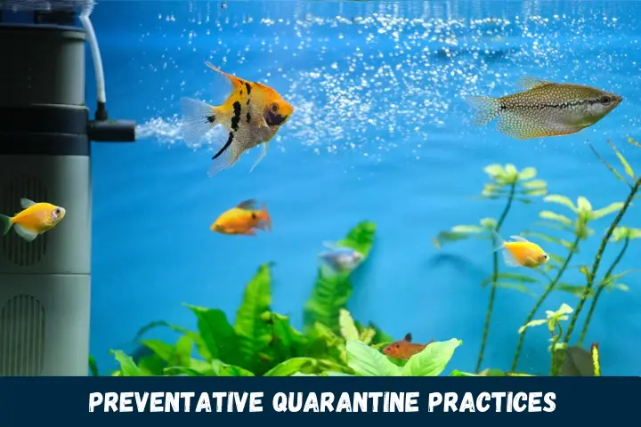 Implementing Preventative Quarantine Practices