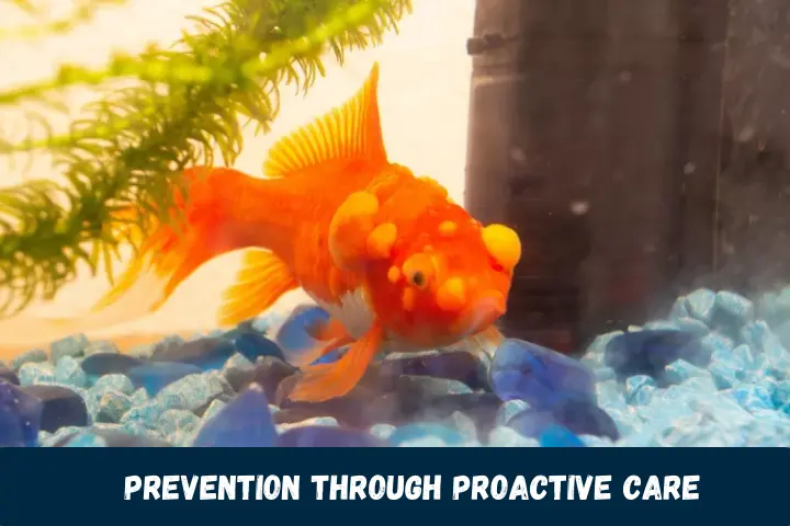 Prevention Through Proactive Care