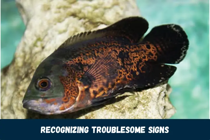 Recognizing Troublesome Signs