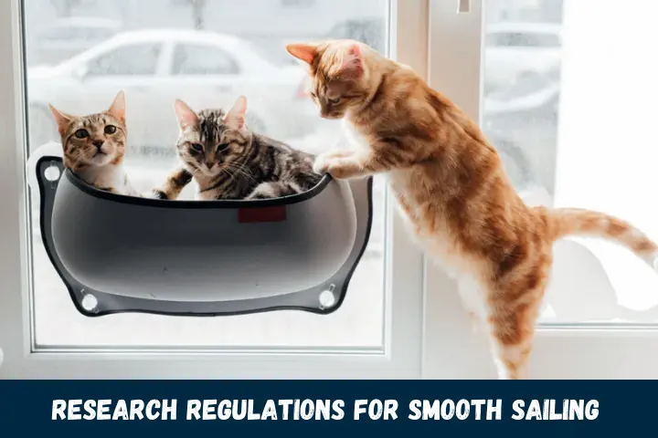 Research Regulations for Smooth Sailing
