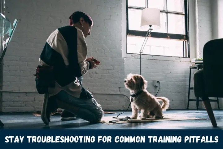 Stay Troubleshooting for Common Training Pitfalls