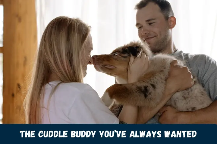 The Cuddle Buddy You are Always Wanted