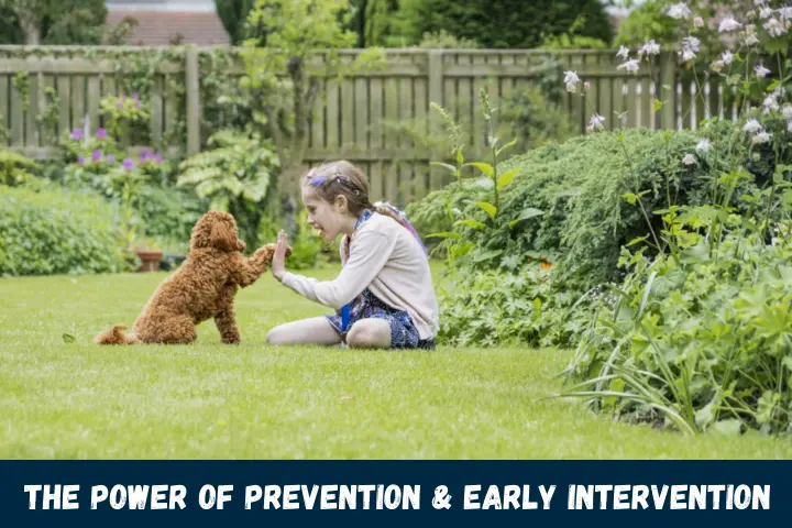 The Power of Prevention and Early Intervention