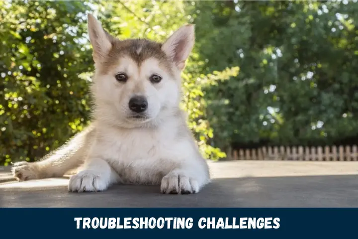 Troubleshooting Challenges