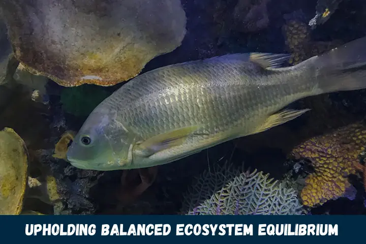 Upholding Balanced Ecosystem Equilibrium