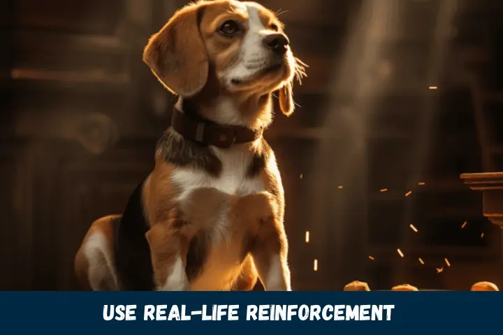 Use Real-Life Reinforcement