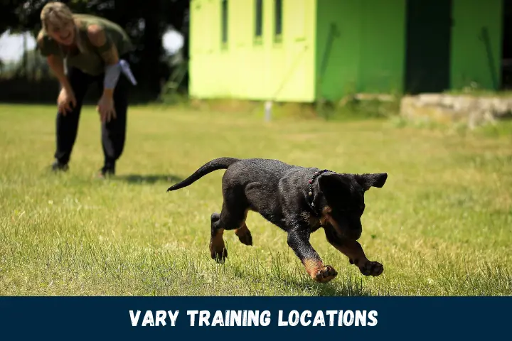 Vary Training Locations