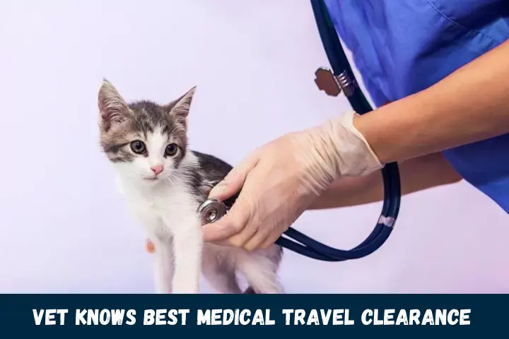 Vet Knows Best Medical Travel Clearance