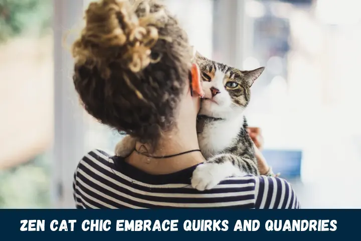 Zen Cat Chic Embrace Quirks and Quandries