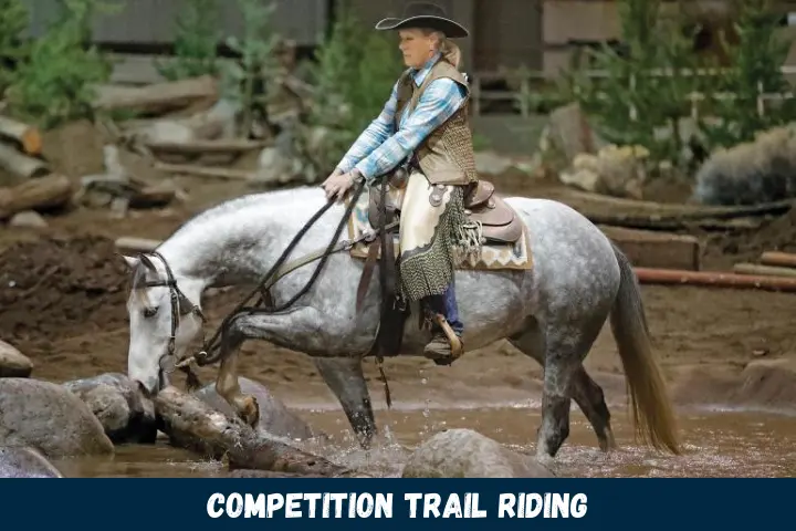 Competition Trail Riding