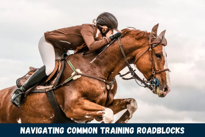 Navigating Common Training Roadblocks