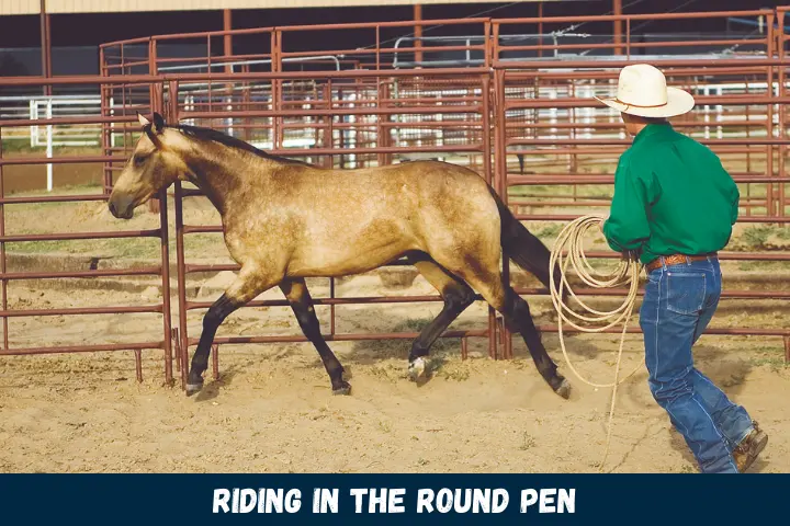 Riding in the Round Pen