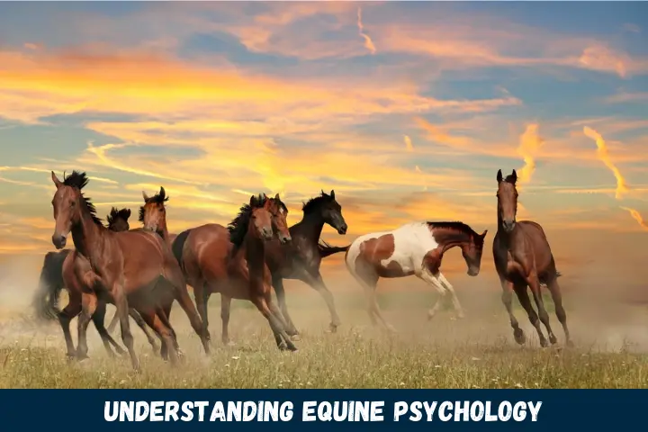 Understanding Equine Psychology